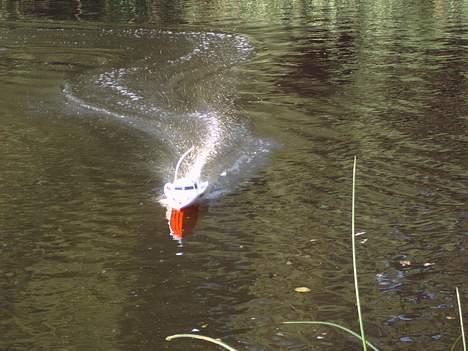 Båd Wing Speed - Båd kommer imod os billede 12