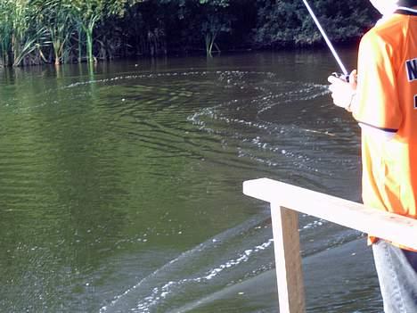 Båd Wing Speed - Hov båd smtuted billede 13