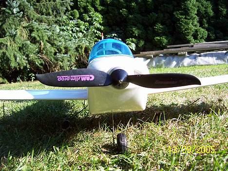 Fly BO 209 Monsun billede 2