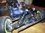 Buggy Losi Mini 8ight [SOLGT]