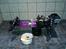 Buggy hpi baja 5b