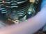 Bil traxxas t-maxx 3,3