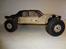 Buggy Axial Exo Terra RTR