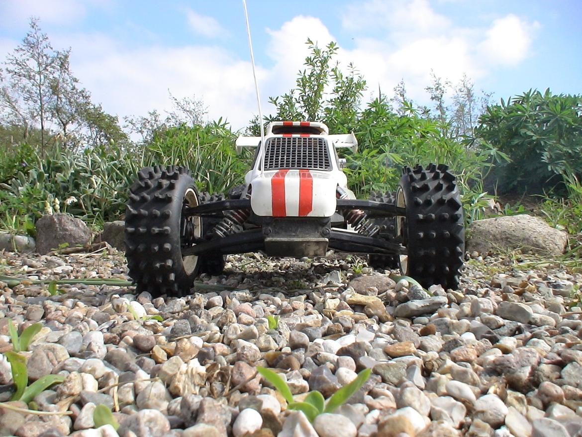 Buggy Fg Marder billede 6