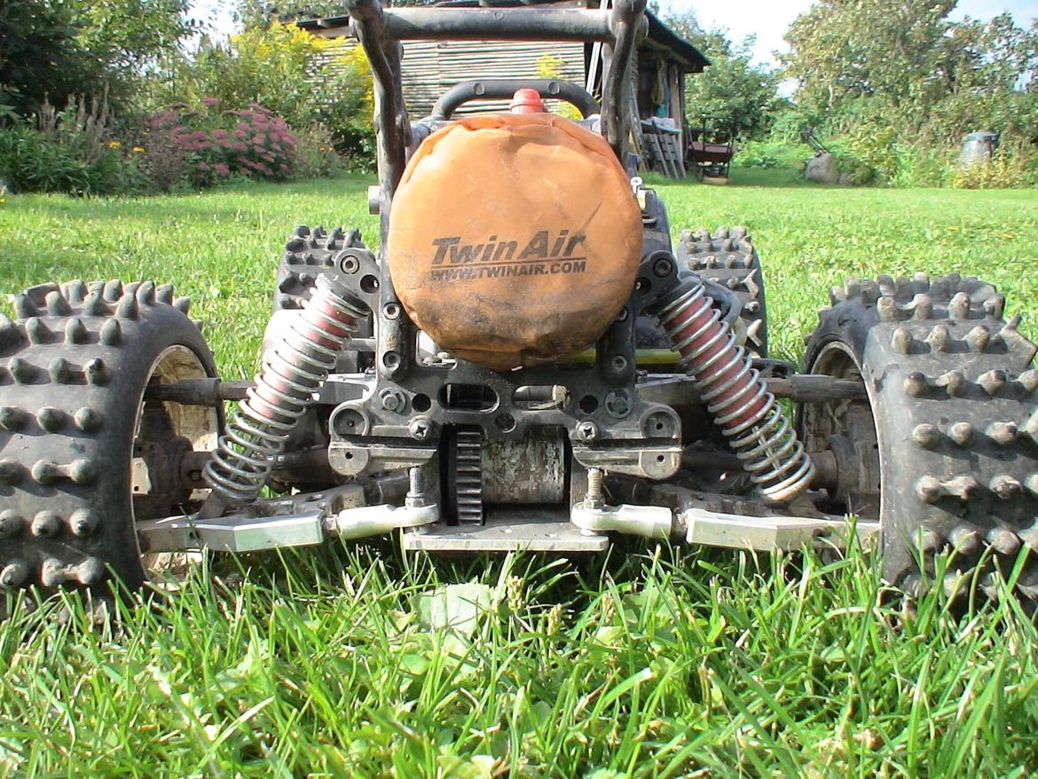 Buggy Fg Marder billede 19