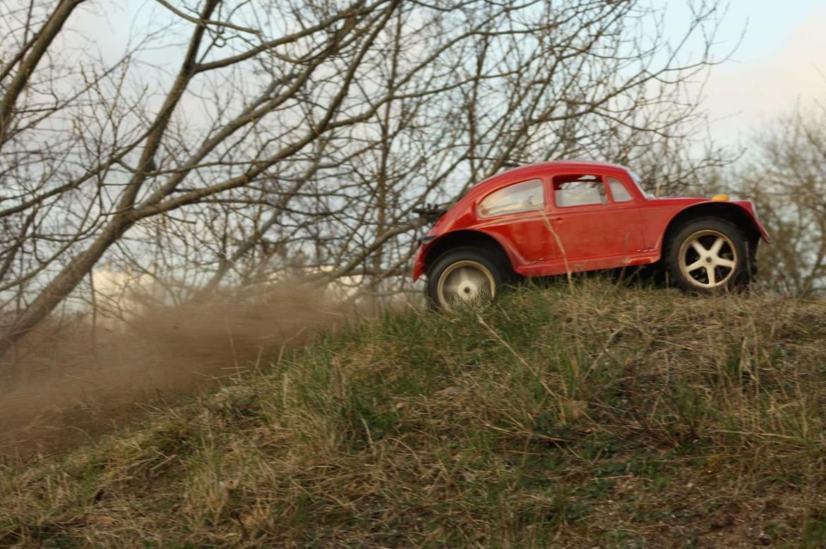 Buggy Fg Marder billede 28