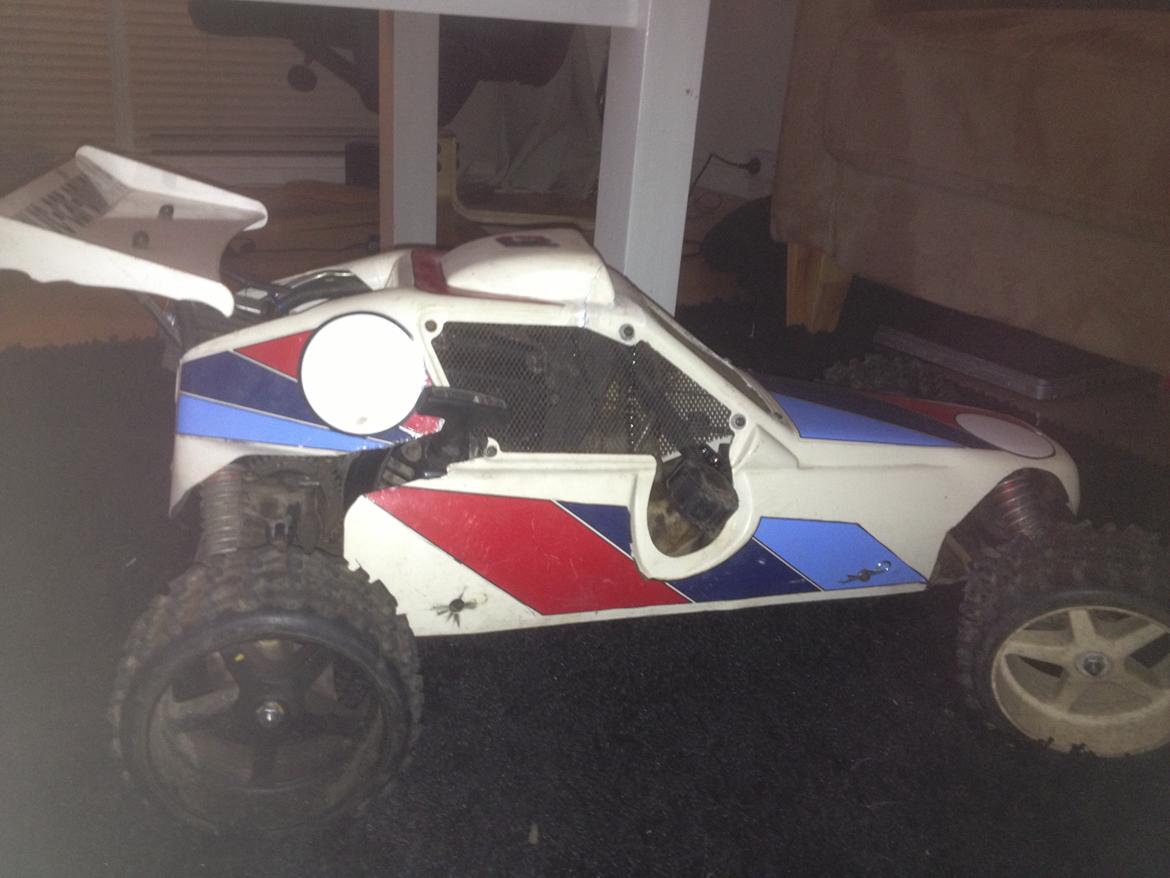 Bil Fg marder  billede 6