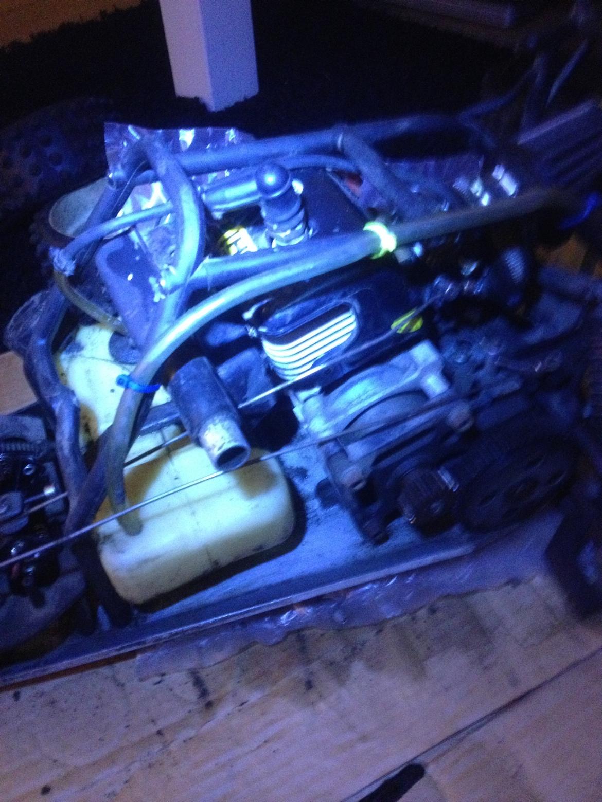 Bil Fg marder  billede 19