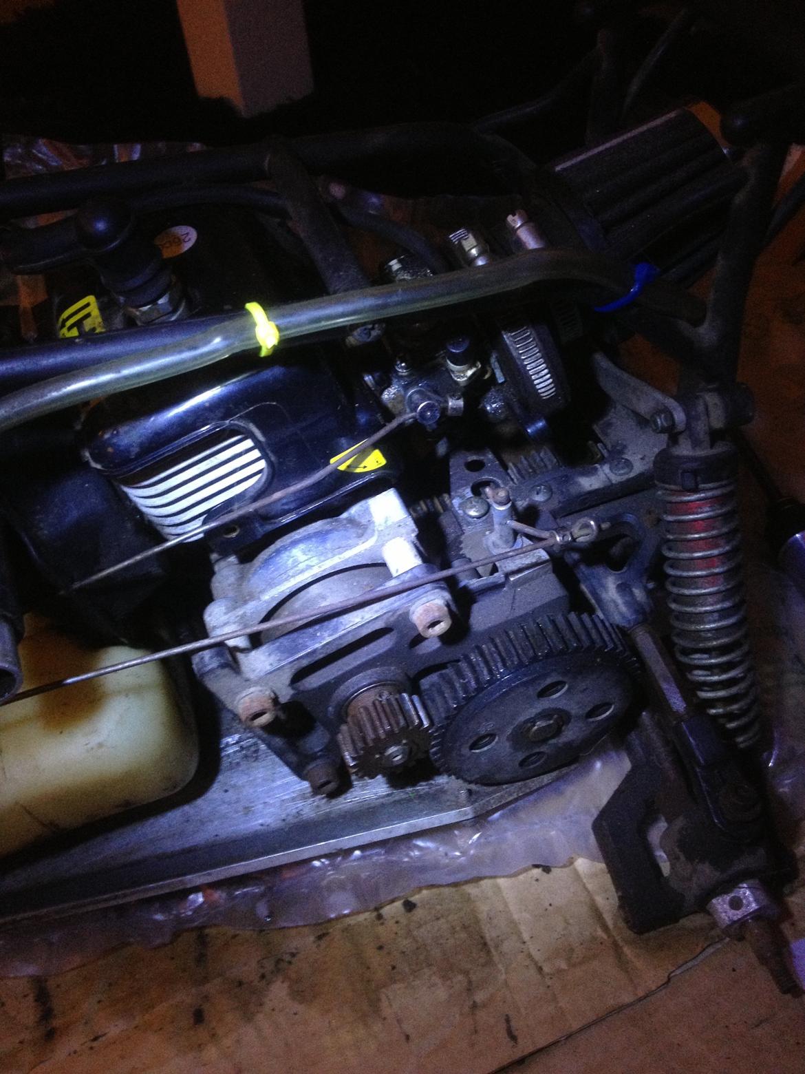 Bil Fg marder  billede 20