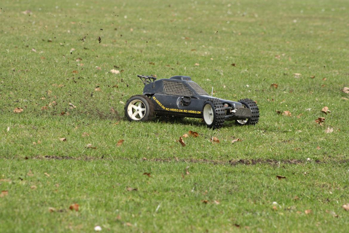 Buggy Fg Marder billede 33