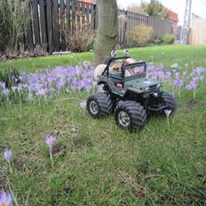 Off-Roader tamiya wild willy 2