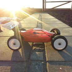 Buggy Mugen Seiki mbX5 Eco