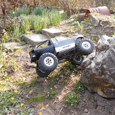 Truck Axial scx10