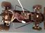 Buggy Tamiya The Hornet (58336)