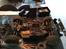 Bil Losi 5t brushless 