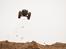 Off-Roader Hpi Savage Flux HP