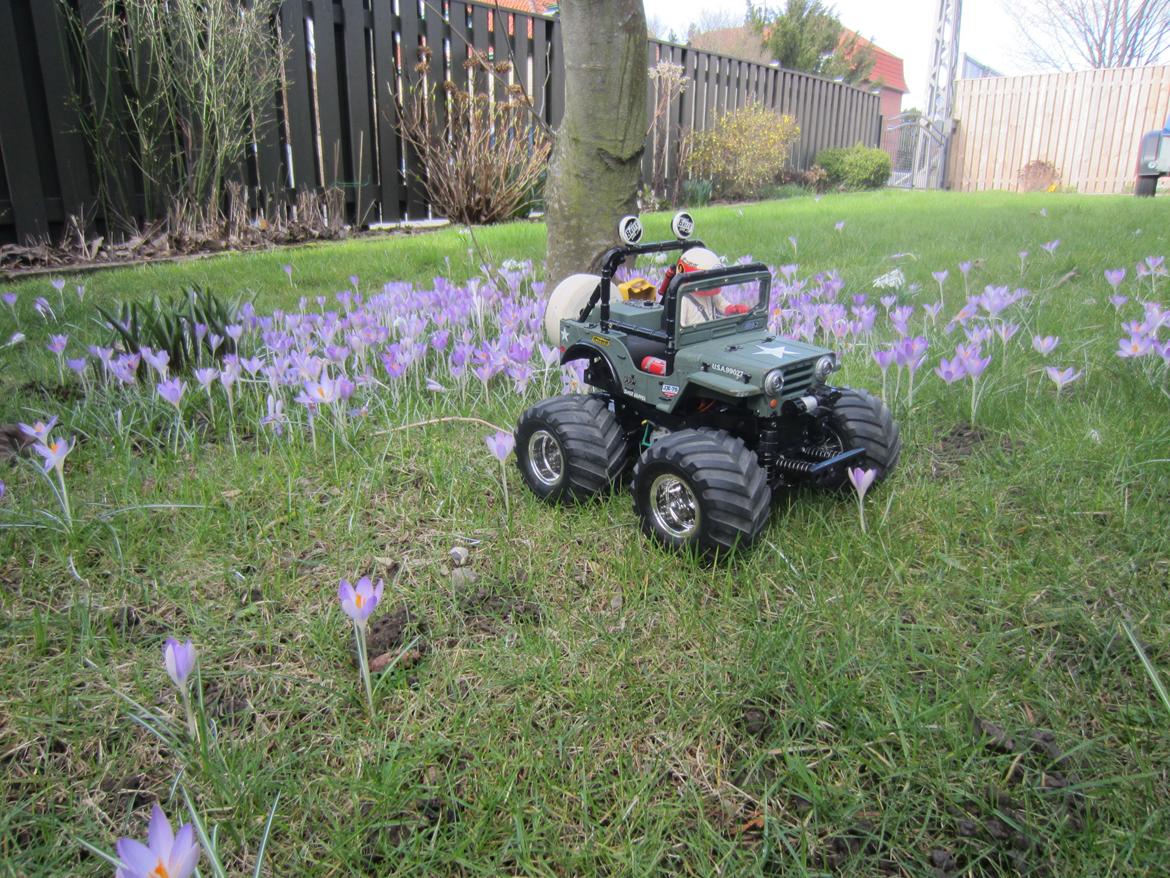 Off-Roader tamiya wild willy 2 billede 2