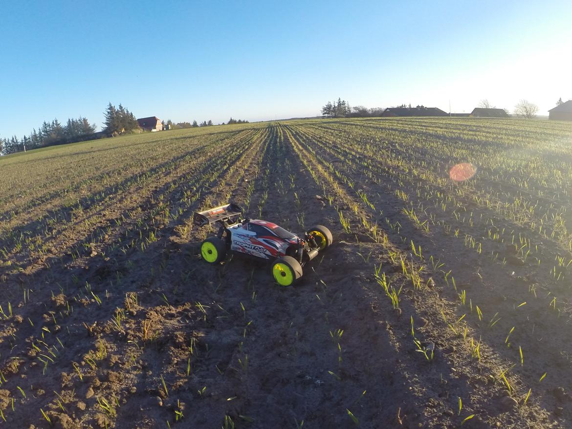 Buggy Trophy buggy mamba monster billede 18