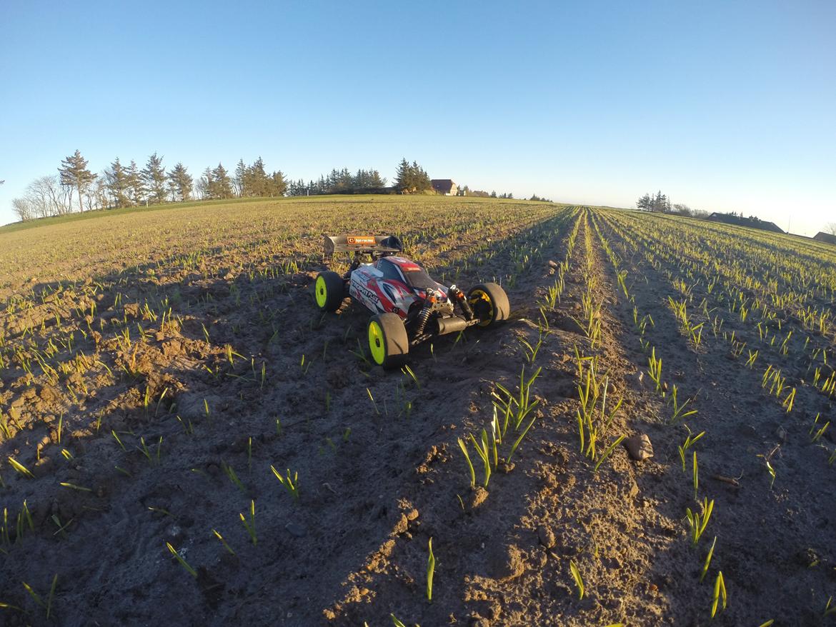 Buggy Trophy buggy mamba monster billede 20