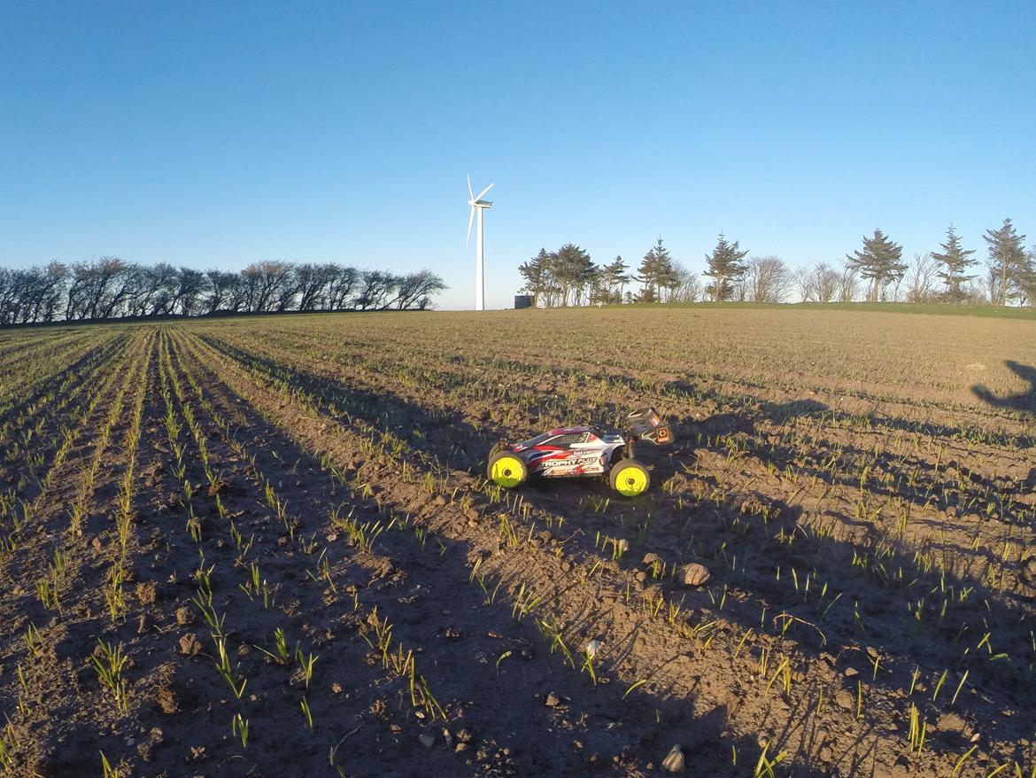 Buggy Trophy buggy mamba monster billede 19