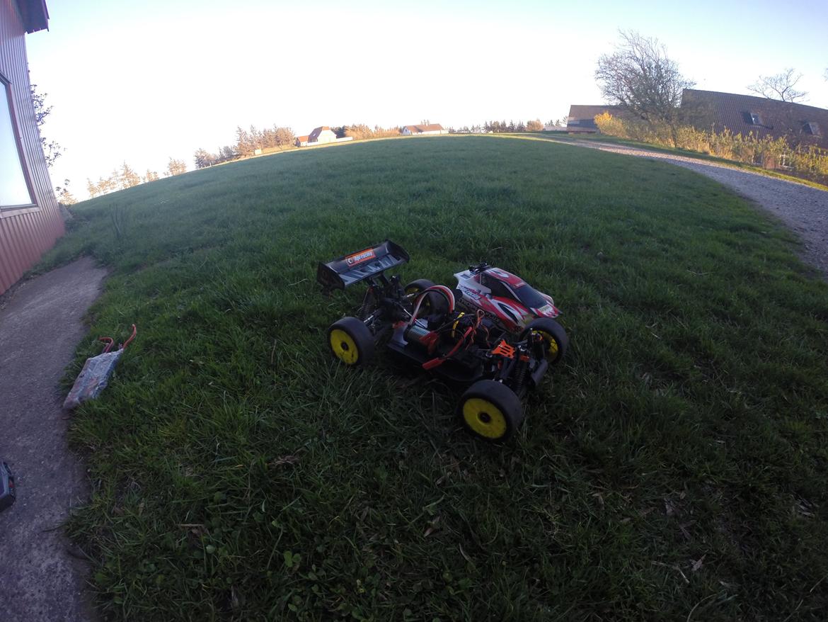 Buggy Trophy buggy mamba monster billede 23