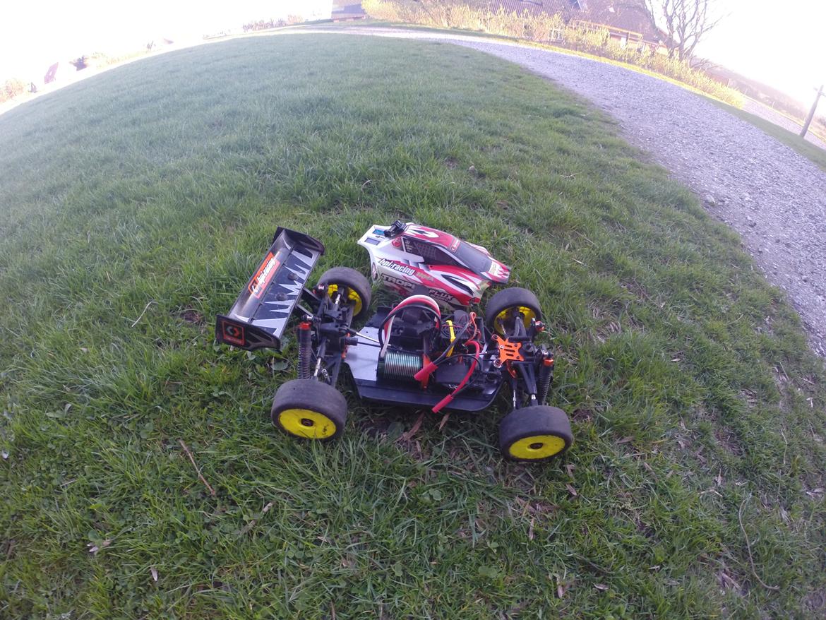 Buggy Trophy buggy mamba monster billede 24