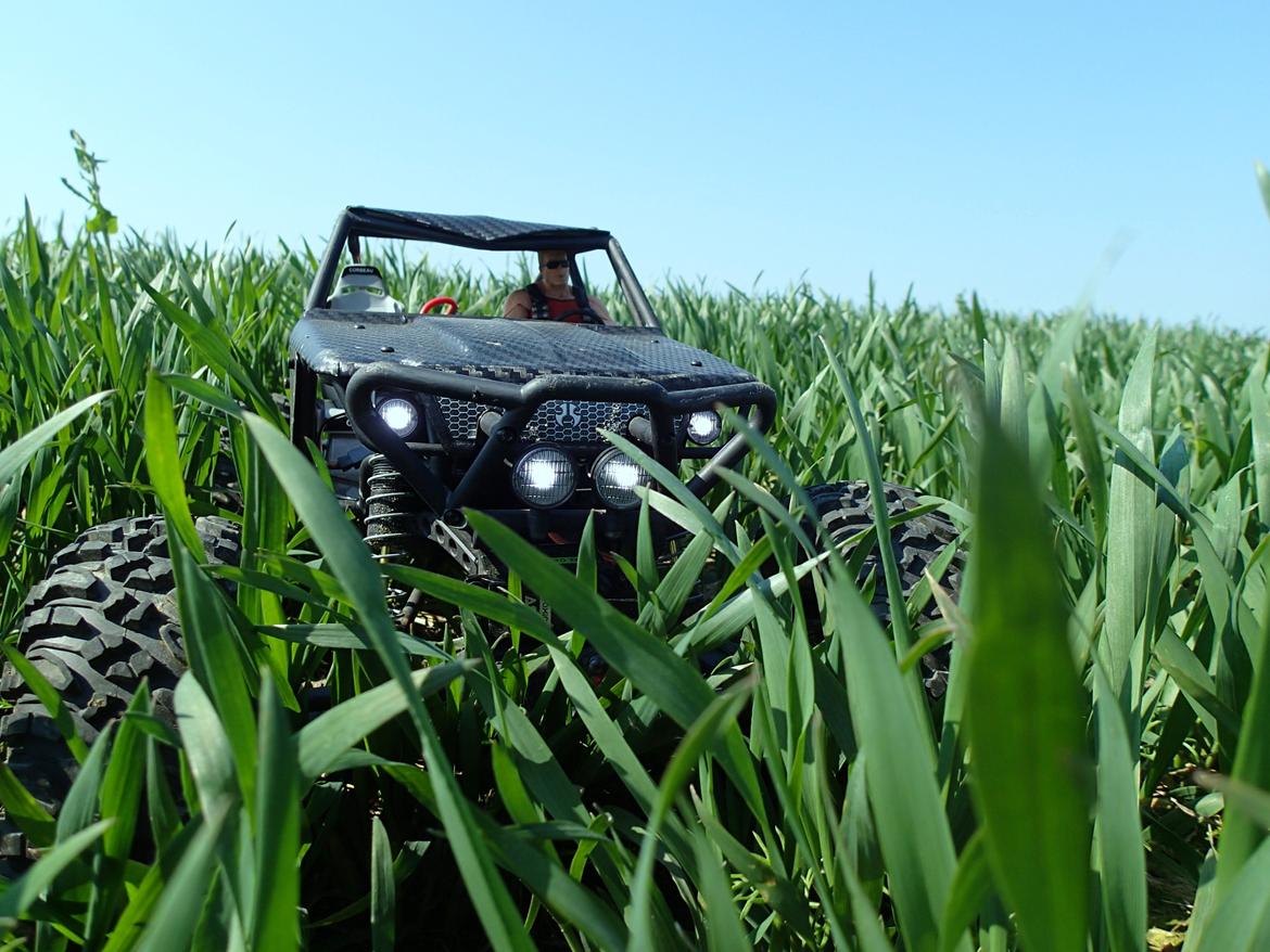 Off-Roader Axial Wraith Red Bull billede 11