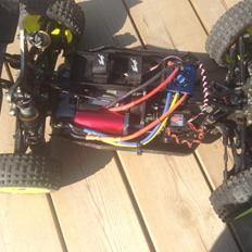 Buggy Team Durango DNX 408