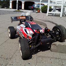 Buggy Trophy buggy mamba monster