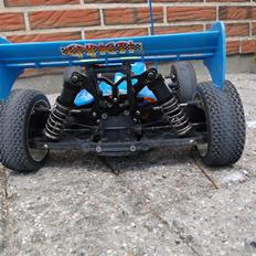 Buggy Losi 8ight