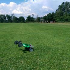 Buggy Tamiya TRF 201