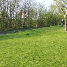 Truck Losi 8ight T E 2.0