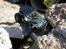 Off-Roader Axial Wraith
