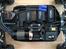 Buggy Losi 8ight 2.0 EU
