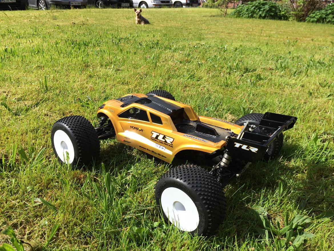 Bil Losi 8ight Truggy 3.0 kit billede 14