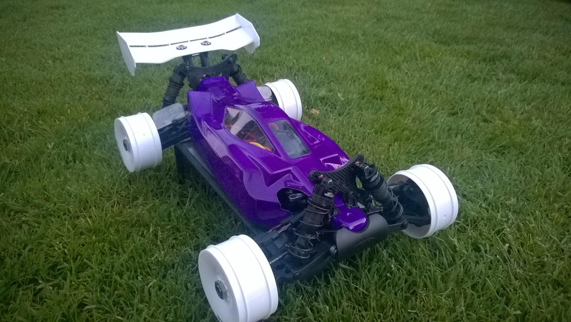 Buggy serpent 811be 2,0 billede 1