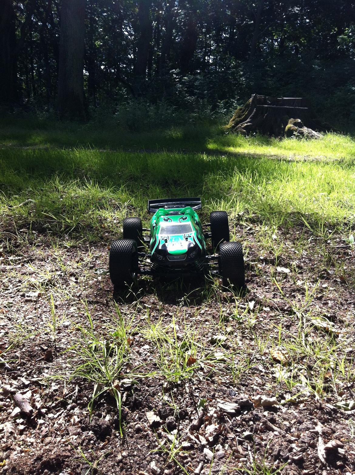 Off-Roader Ansmann Truggy Brushless DEBF billede 6