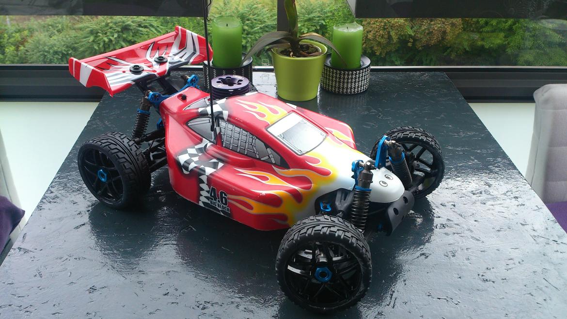 Buggy ofna ravager 4,6 Big Block billede 1