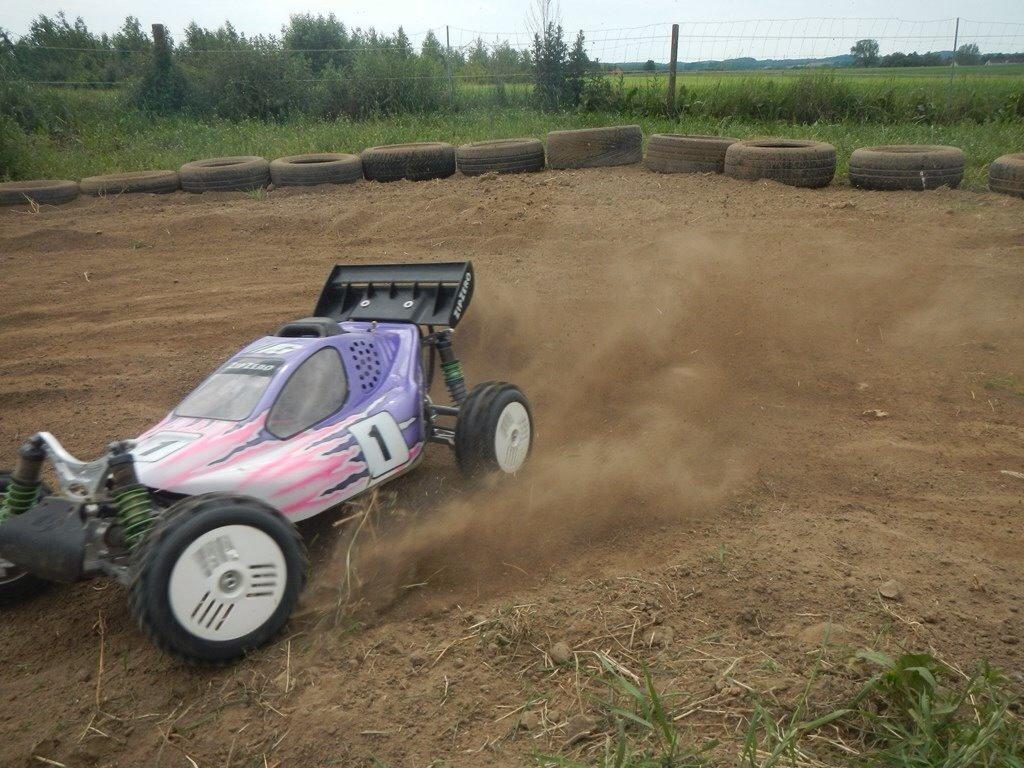 Bil leopard 2014 Milligan trim - billed fra vpob billede 34