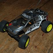 Buggy Team Losi Mini T