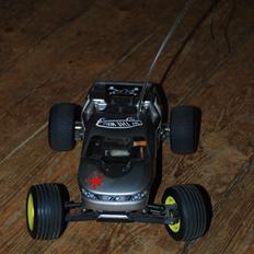 Buggy Team Losi Mini T