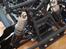 Off-Roader Losi TEN-Rally x 4WD 2,0