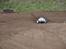 Off-Roader Elcon Cleon mmx