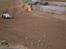 Off-Roader Elcon Cleon mmx