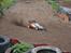 Off-Roader Elcon Cleon mmx