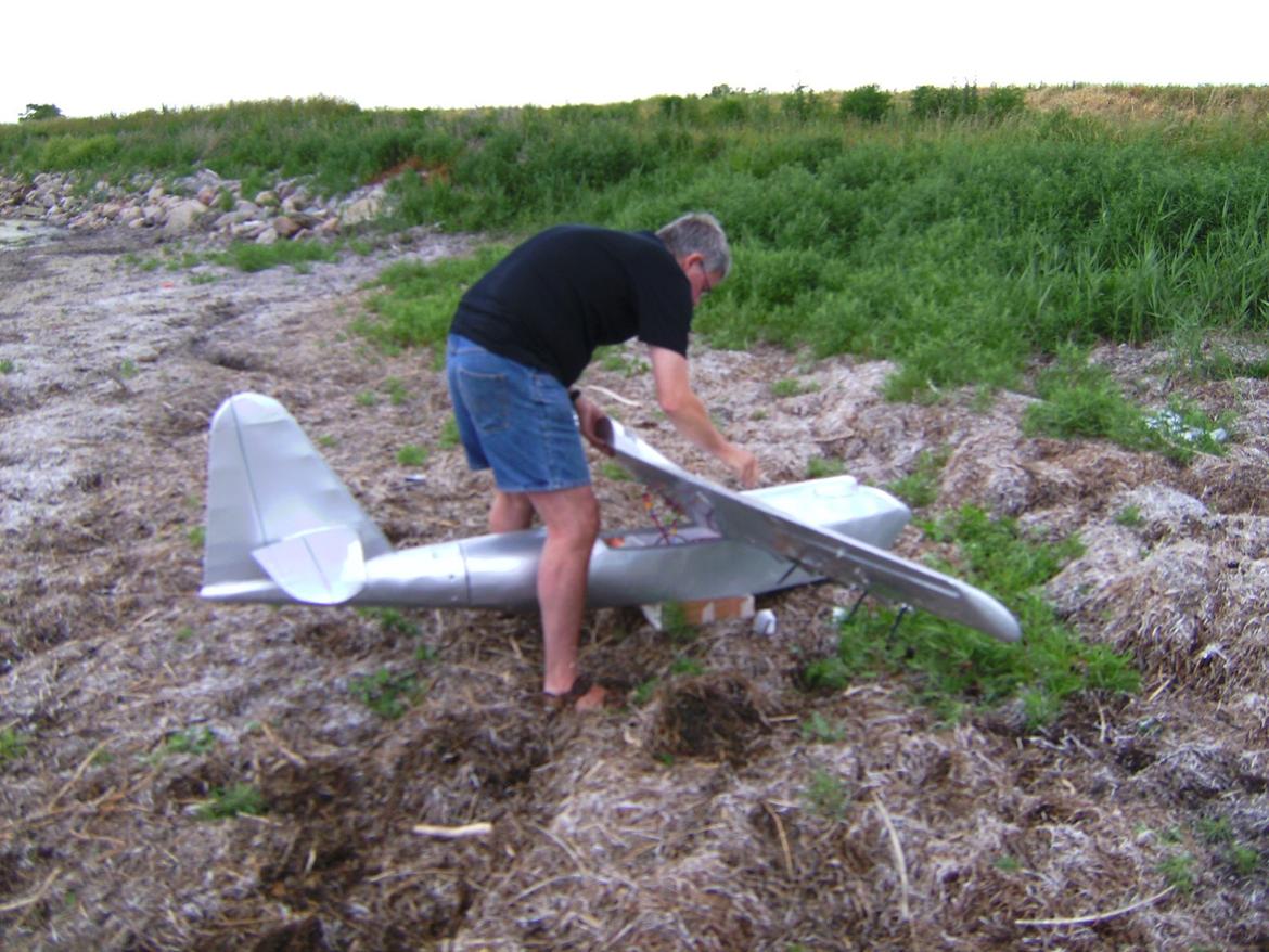 Fly Spruse goose semiskala vandfly billede 3