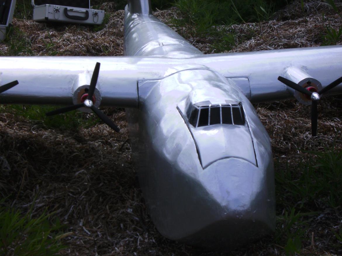 Fly Spruse goose semiskala vandfly billede 6