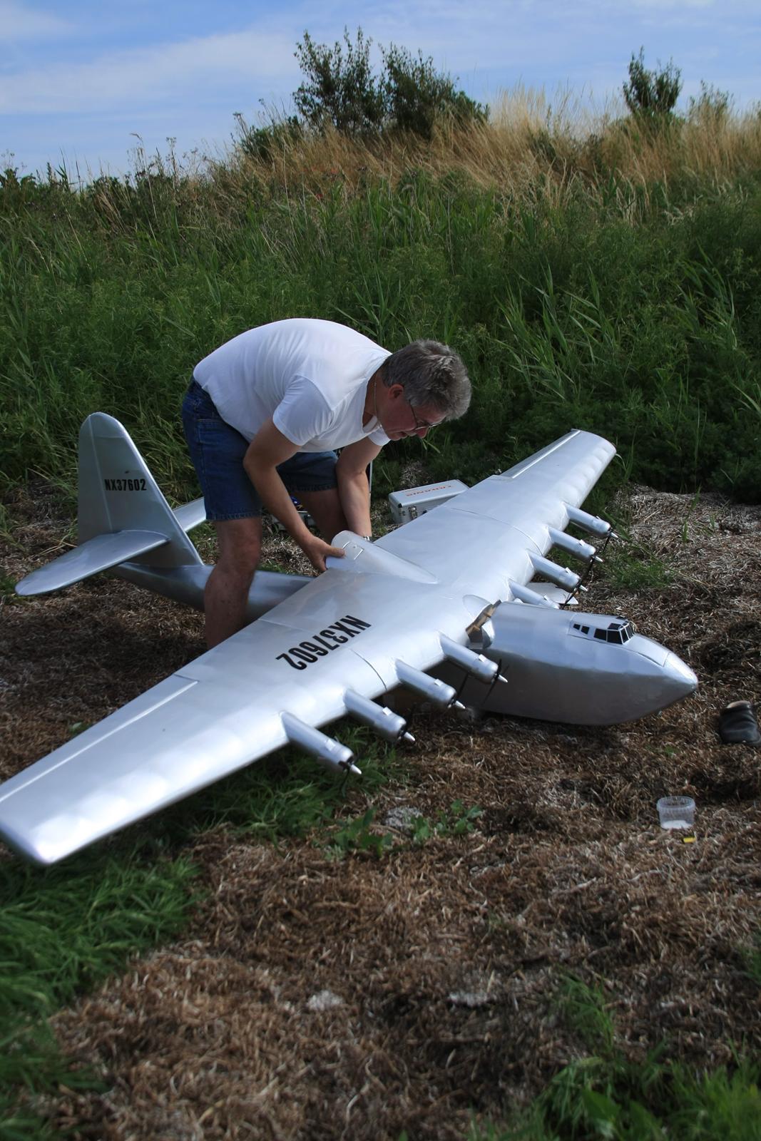 Fly Spruse goose semiskala vandfly billede 7