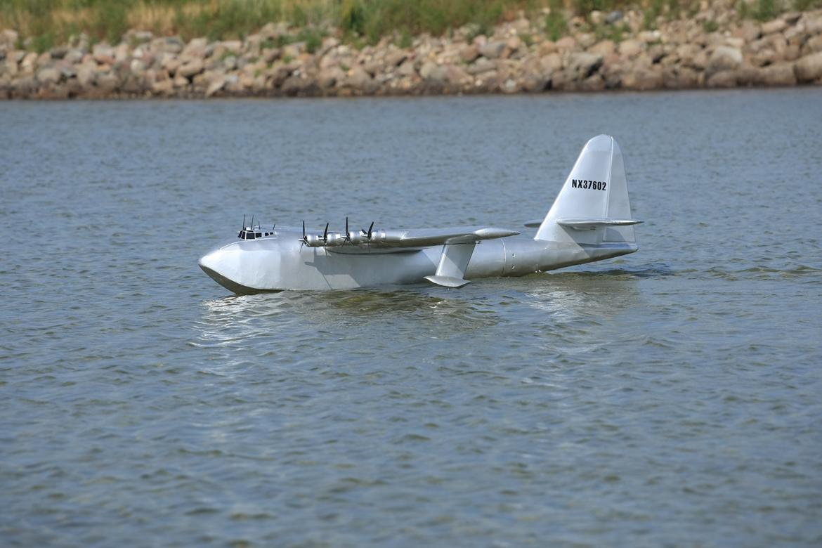 Fly Spruse goose semiskala vandfly billede 1