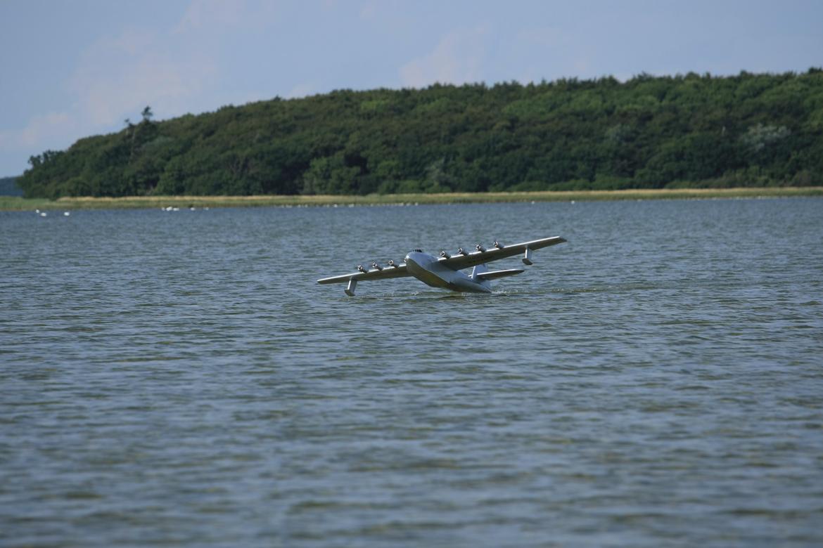 Fly Spruse goose semiskala vandfly billede 9